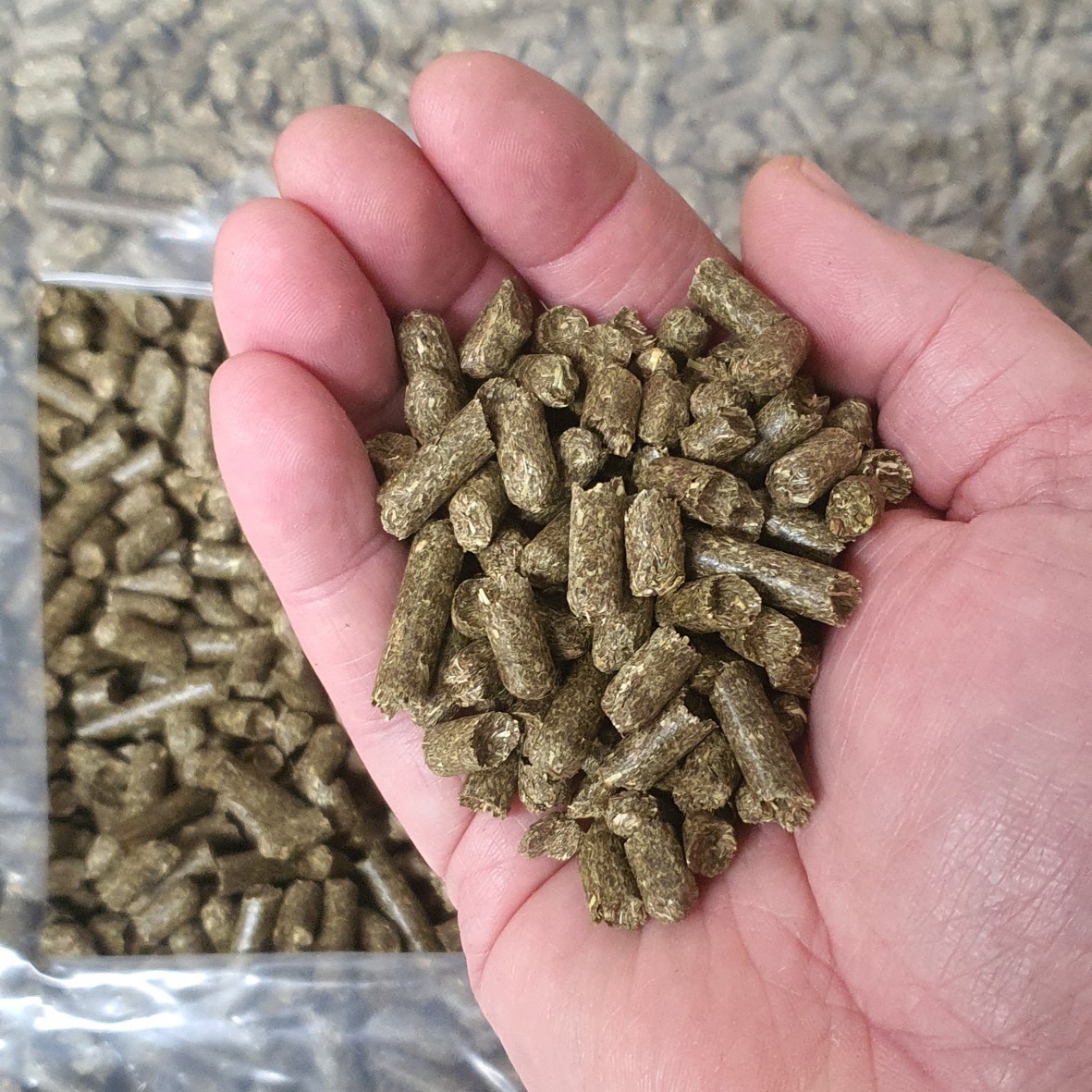 Heu-Pellets 15kg